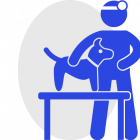 Veterinario